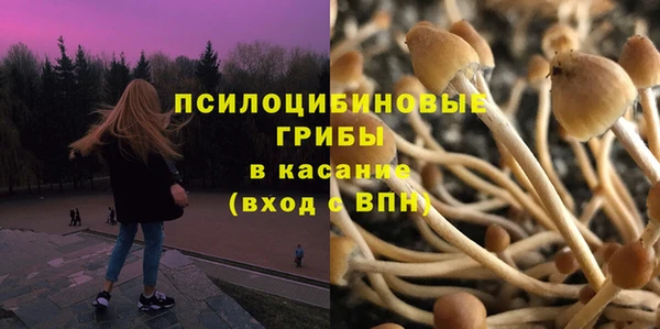 a pvp Кодинск